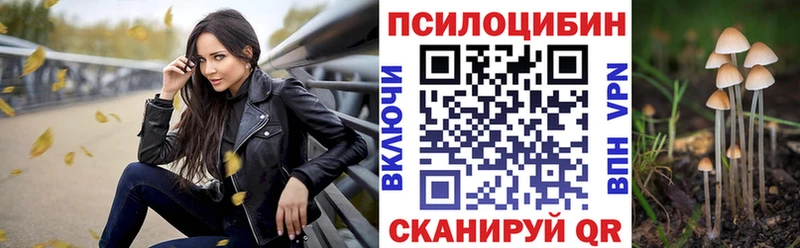 Псилоцибиновые грибы мицелий  Инсар 